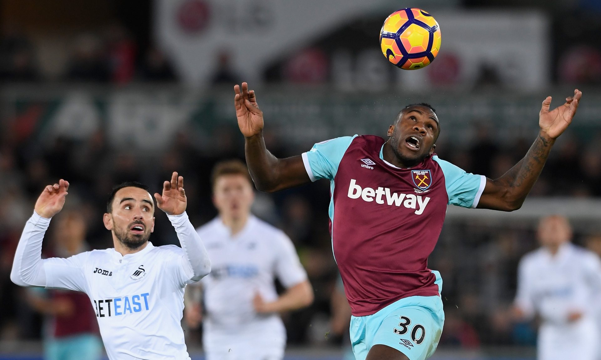 去的土地上 去的土地上